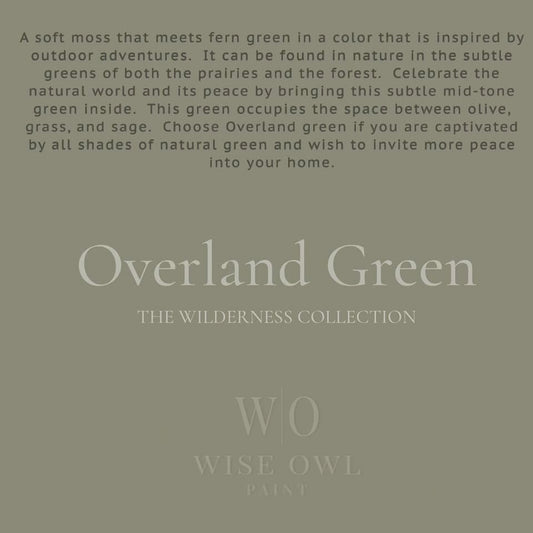 Wise Owl One Hour Enamel - Overland Green