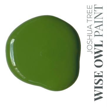 Wise Owl Chalk Synthesis Paint - Joshua Tree